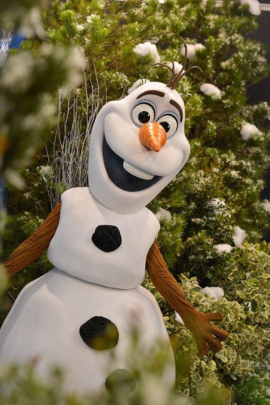 Florida man arrested for having sex with stuffed 'Olaf' at Target